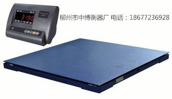 柳州地磅厂家 集生产、销售、维修与金属结构制造于一体的专业服务商